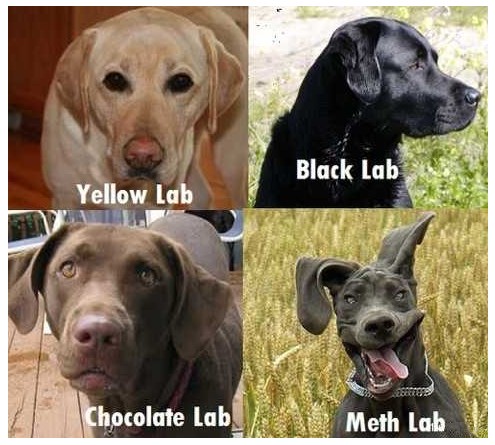 types-of-labs.jpg